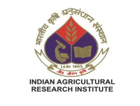 Indian Agricultural Research Institute Invites Application for Manager Recruitment 