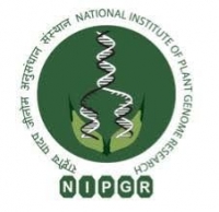 NIPGR Recruitment  