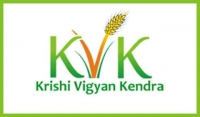 KVK Recruitment 