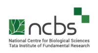 NCBS Recruitment 