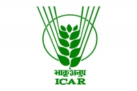 ICAR NRCE Senior Recruitment