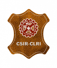 CLRI Recruitment 
